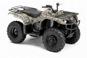 2010 Yamaha Grizzly 350 Auto 4x4 photo